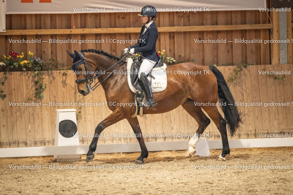 _D5A9772 | Emotionale Pferde- & People-Fotografie rund um Heidelberg, Leimen & Umgebung. Natürliche Fotos von Pferd, Mensch & Familie. Jetzt Termin sichern!