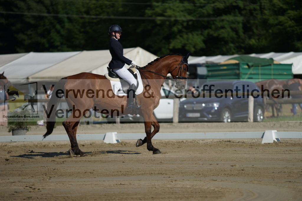 DSC04012 | equestrian-live-com