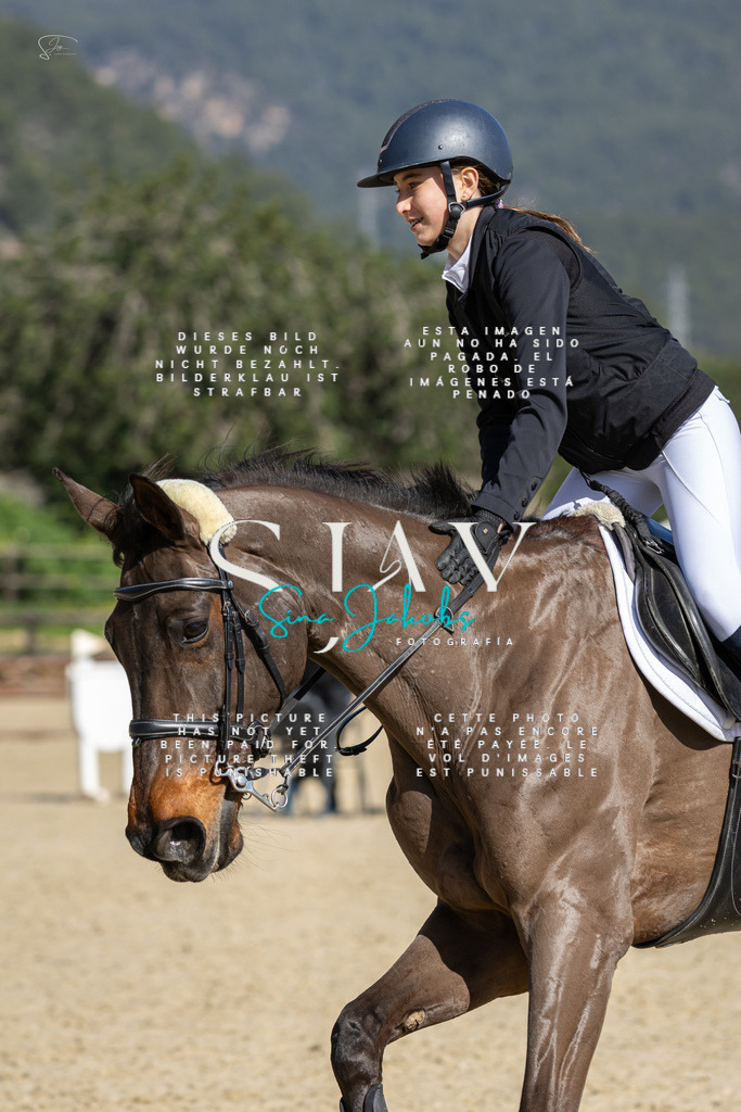 IMG_6284 | s-jay-photography - Realisiert mit Pictrs.com