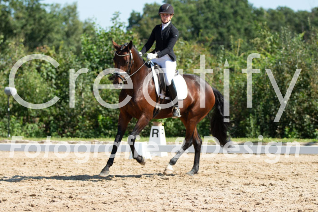 IMG_3941 | Creatify Fotografie