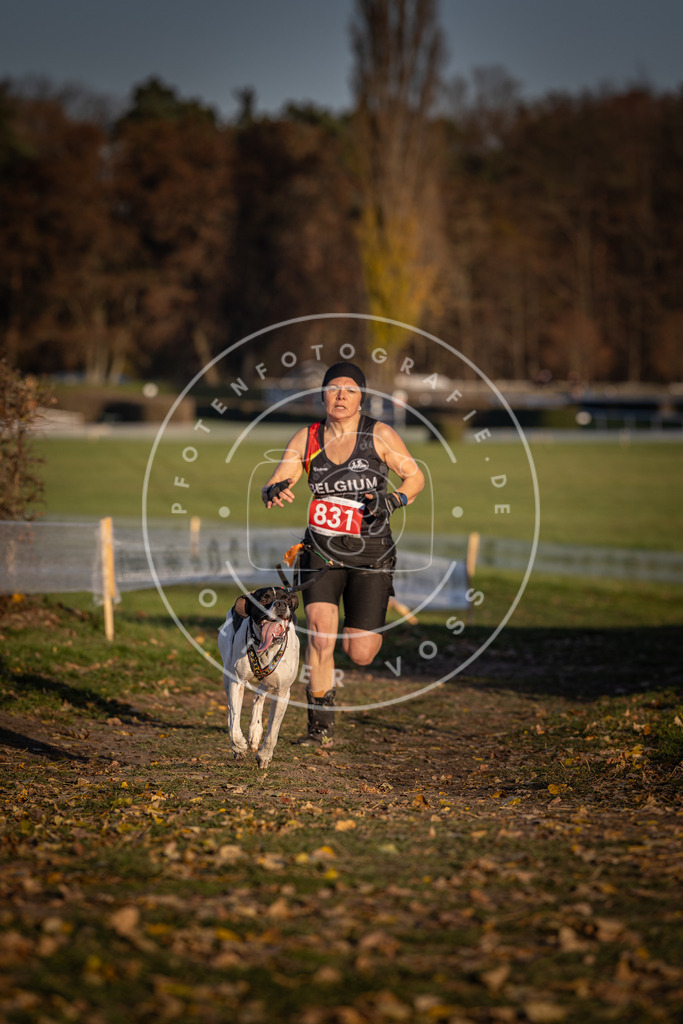 CaniXpix_DV3A3417 | Hundefotografie, Tierfotograf, Pfotenfotografie, Fotoshooting Hund, Hunde Portrait, Hundesport, Hundeportraits, Heideshooting, Hunde, Sportfotograf, Hundefotograf, Turnierhundsport, THS,  - Realisiert mit Pictrs.com