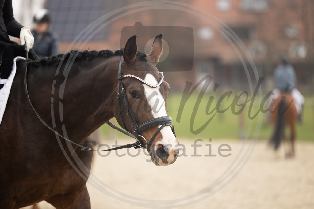 994A8688 | sabrinanicolaifotografie - Realisiert mit Pictrs.com