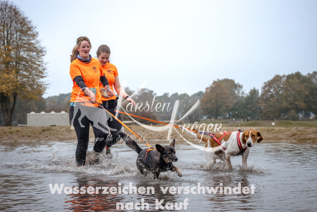 1105_ZZ92838 | kk-dogfotos