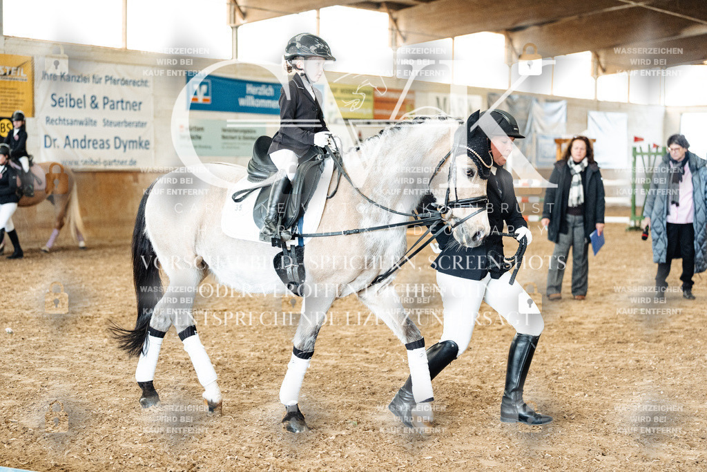 CK906093 | Turnierfotografie Pferdefotografie Trier Rheinland-Pfalz Pferdesport Reitsport Tierfotografie Sportfotografie Pferdevideo Pferdevideografie Equestrianvideography equestrianphotography  - Realized with Pictrs.com