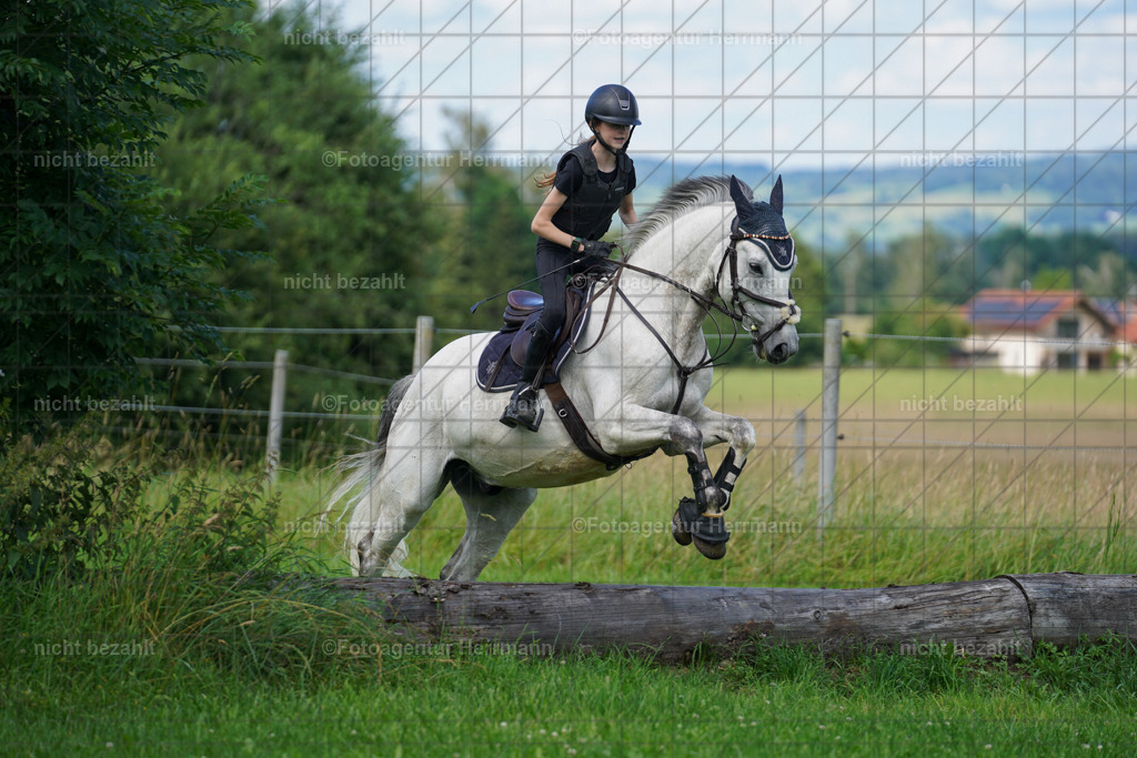 20240622-FAH07927 | Turnierfotografen Bayern, Reitsportbilder aus dem Geländekurs mit Felix Etzel auf dem Gut Waitzacker 2024