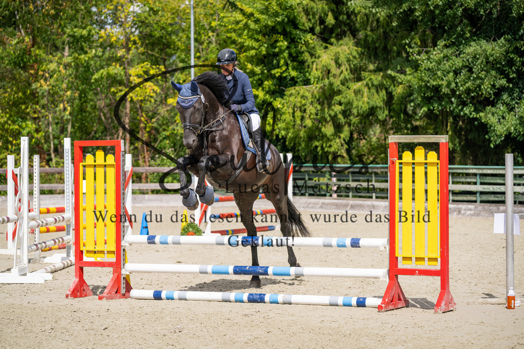 A7V07395 | Turnier/Reitfotograf