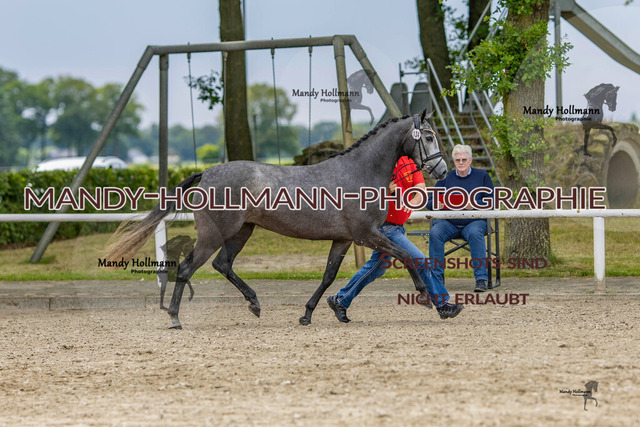 0P2A1232 | mandyhollmannphotographie