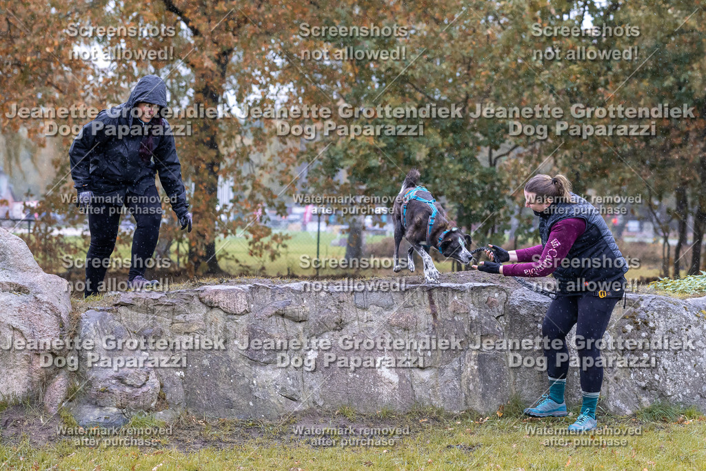 Dog Paparazzi - SD CaniX Championship 2025-777 | Dog Paparazzi Jeanette Grottendiek Fotografie & Videografie - Realisiert mit Pictrs.com