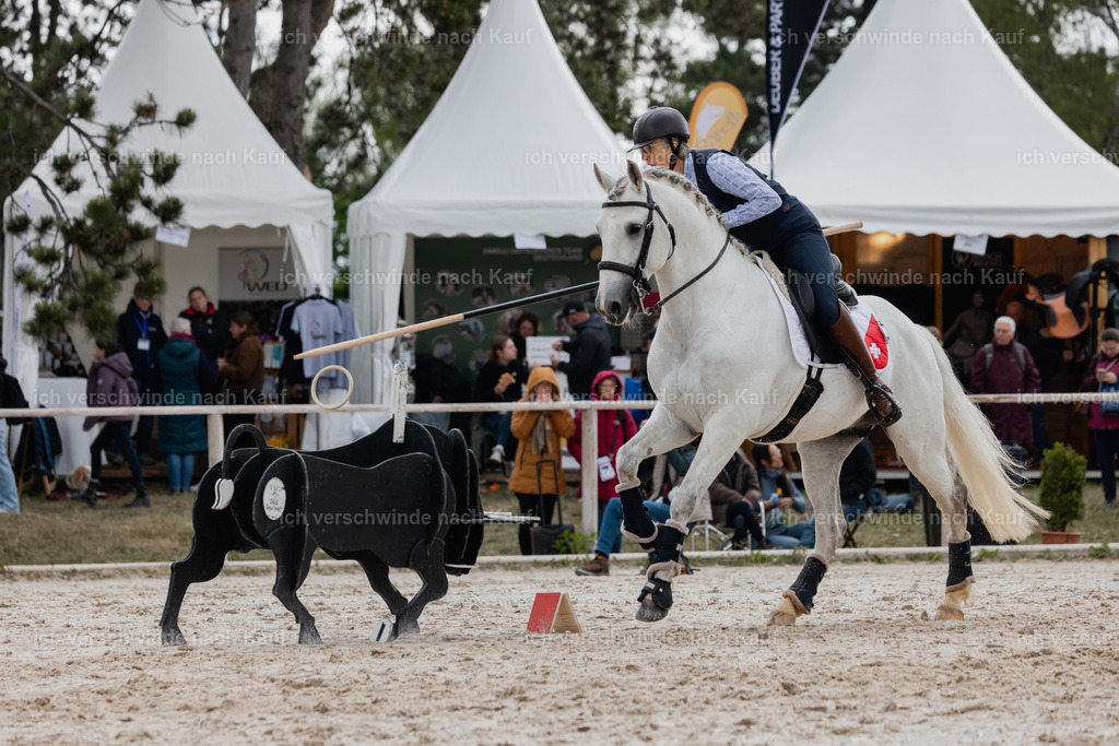 PI26_SP_StoibphotographyC2_C2389.CR3 | working equitationturnier fotograf videograf stoibphotography marixx film working equitation deutschland reitsport turnierfotografie eventfotografie equestrian events