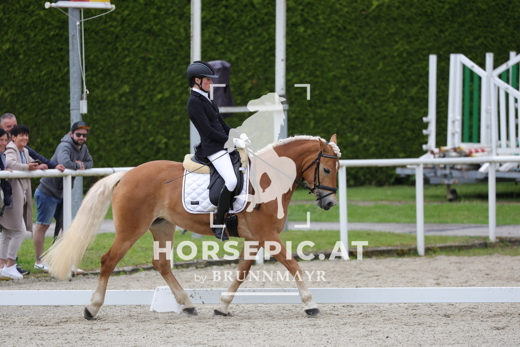 0P6A5223 | Willkommen bei Brunnmayr - Design & Fotografie – Ihrem Spezialisten für Reitturniere und Pferdeveranstaltungen in Oberösterreich, Salzburg und Bayern! Seit über 17 Jahren sind wir leidenschaftlich dabei.