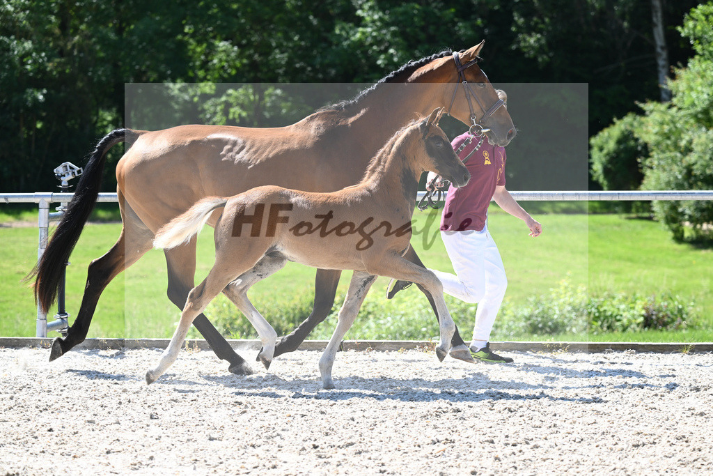 Kat-Nr. 7 HF Nechristo_Zimmermann_16230179 | hf-fotografie - Realisiert mit Pictrs.com