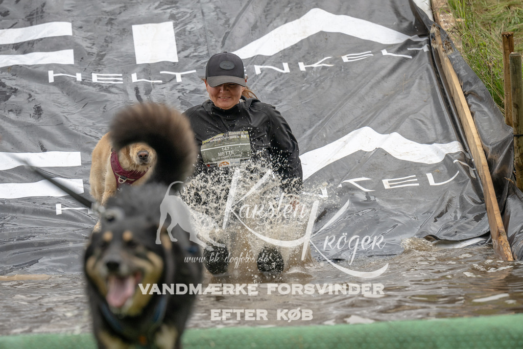 1550_ZZ91041 | kk-dogfotos