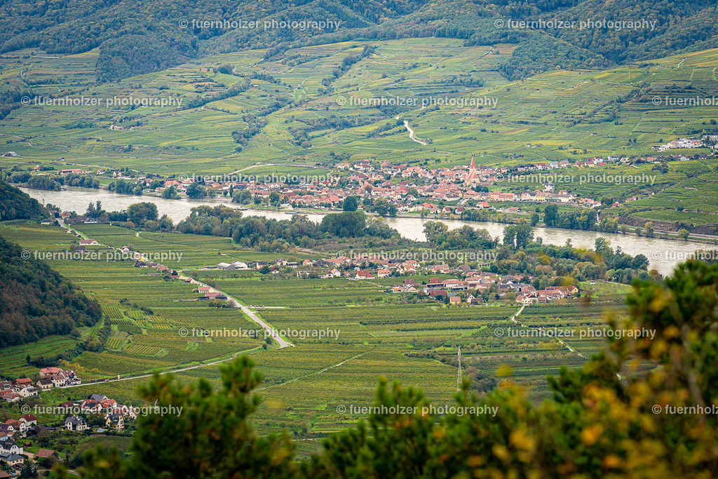 _fuernholzer_241005-C4-344 | © Christian Fuernholzer | fuernholzer photography