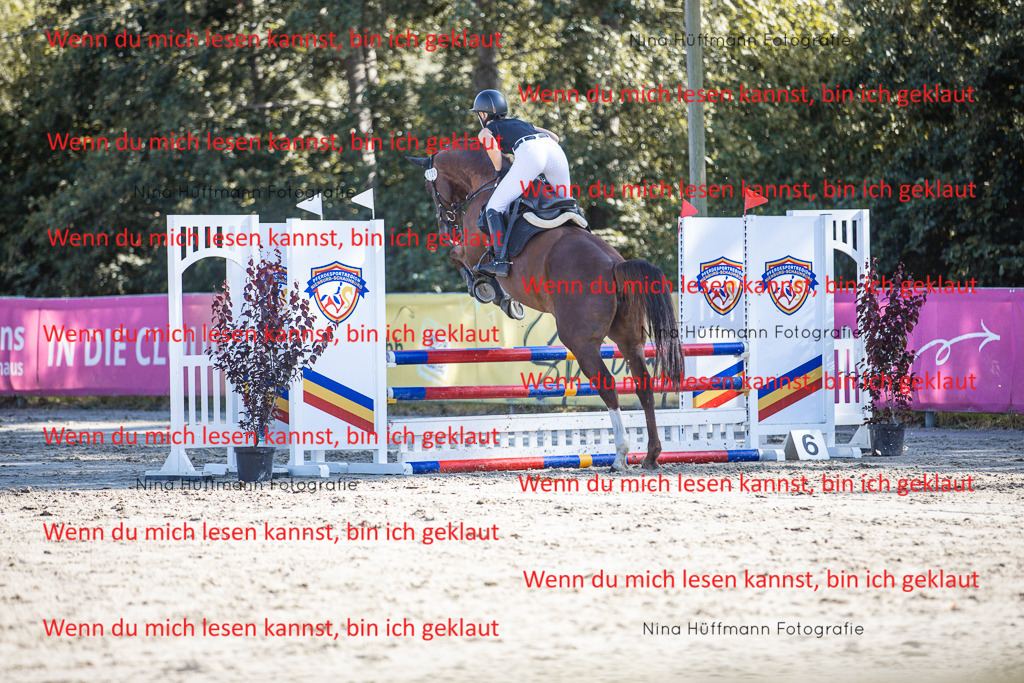 BK1A7299 | Turnierbilder Turnierfotos Nina Hüffmann Turnierfotografie Pferdefotografie Tierzeichnung Haustierzeichnung Pferdezeichnung Hundezeichnung Videograf  - Realisiert mit Pictrs.com