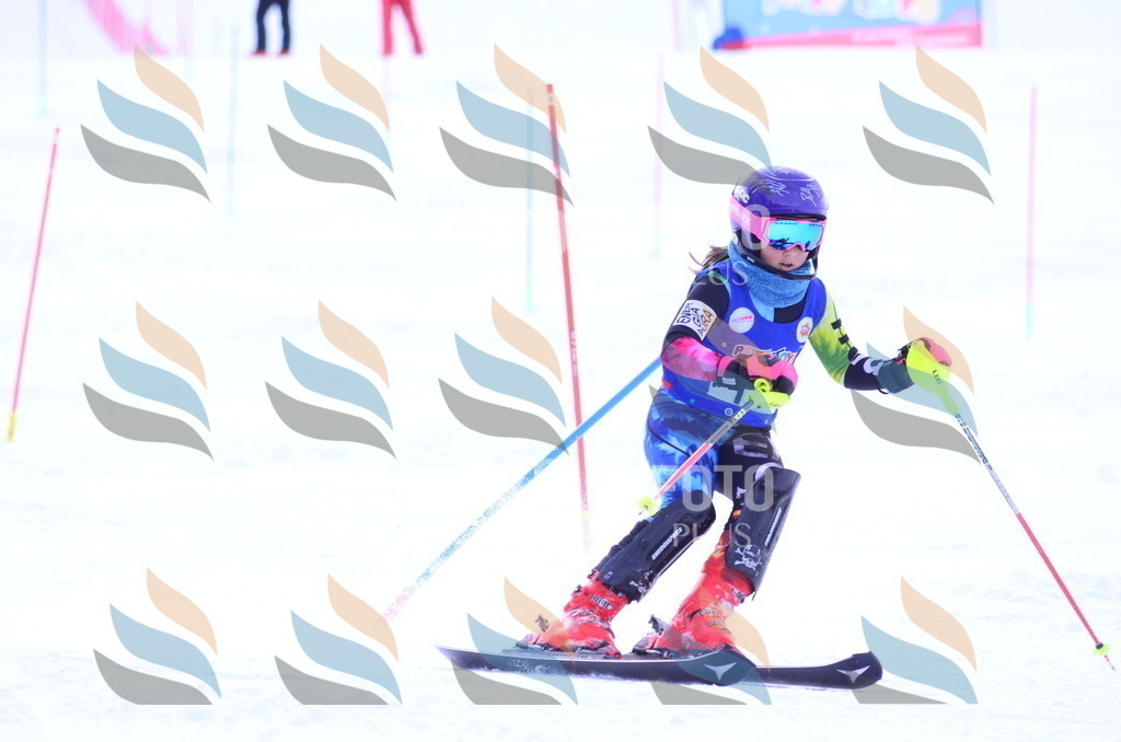 B1882 | holidayphoto