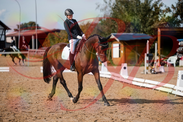 2026_10_03_Siefer-Hof_123047_Z63_51777433 | Professionelle Reitsport-, Turnier- und Eventfotografie von Robert Broda. Galerien mit ausgewählten und bearbeiteten Bildern direkt online ansehen und bestellen.