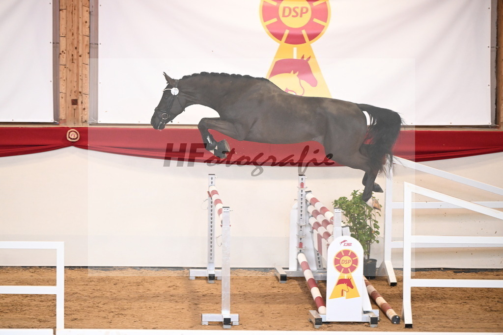 Kat.-Nr. 23 v. Diamant De Semilly_Jünger_2251122 | hf-fotografie - Realizzato con Pictrs.com