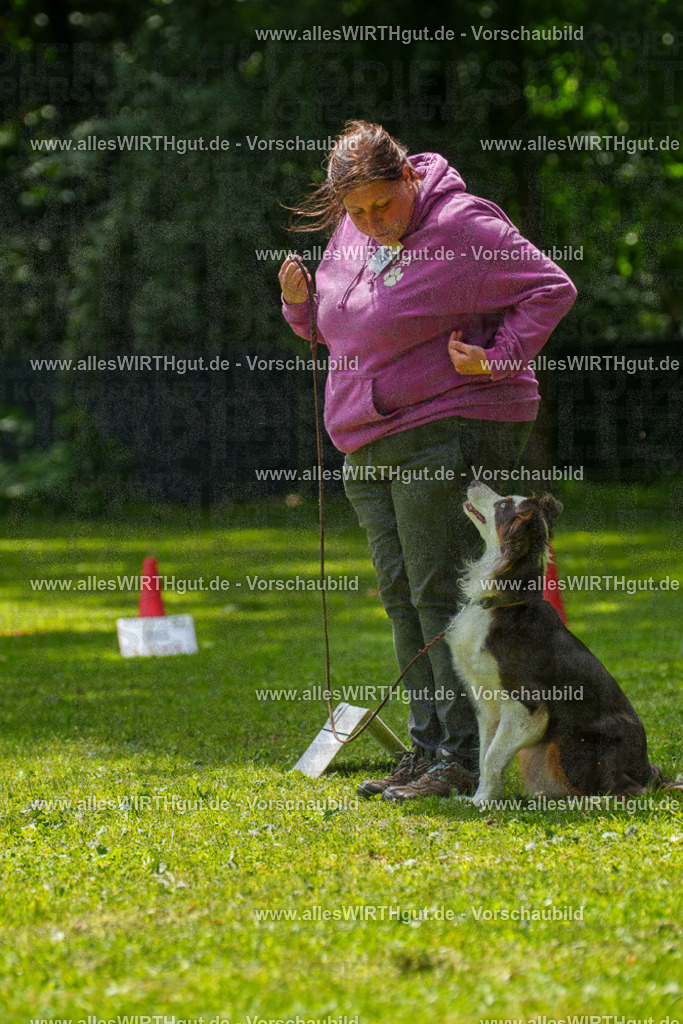 @allesWIRTHgut_Tierfotografie - www.allesWIRTHgut.de - 7R504855 | Professionelle Tierfotografie in Mönchengladbach von Daniel Wirth (allesWIRTHgut). Liebevolle & natürliche Bilder von Hunden & Katzen für unvergessliche Erinnerungen.