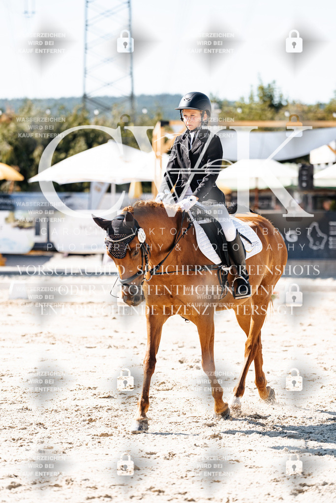 CK902977 | Turnierfotografie Pferdefotografie Trier Rheinland-Pfalz Pferdesport Reitsport Tierfotografie Sportfotografie Pferdevideo Pferdevideografie Equestrianvideography equestrianphotography  - Realisiert mit Pictrs.com