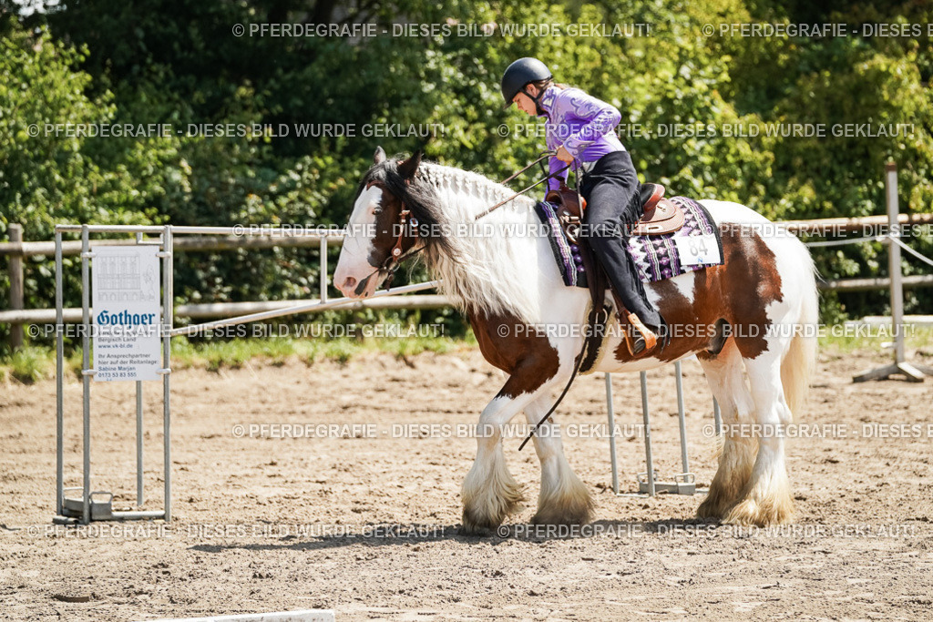 DSC07516 | Pferdegrafie