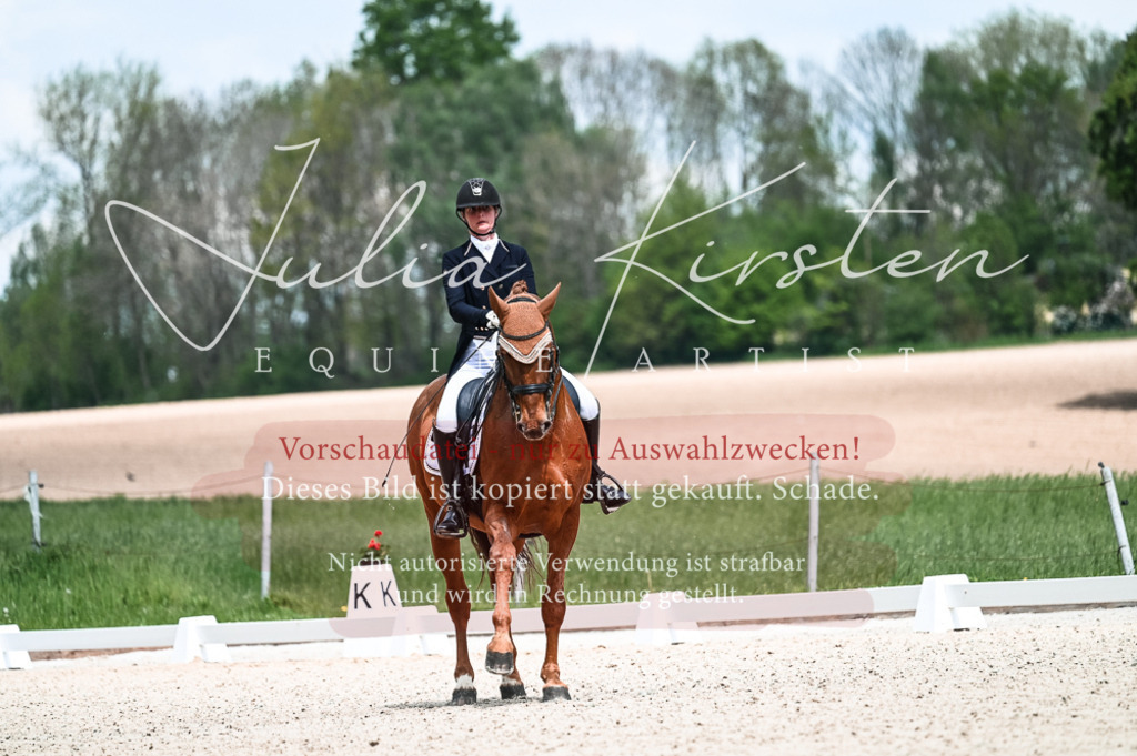 20230514_JK-Röhrsdorf-21-034 | Pferde- und Turnierfotografie in Westsachsen. Pferdeportraits, Auftragszeichnungen und intuitive Kunst.
