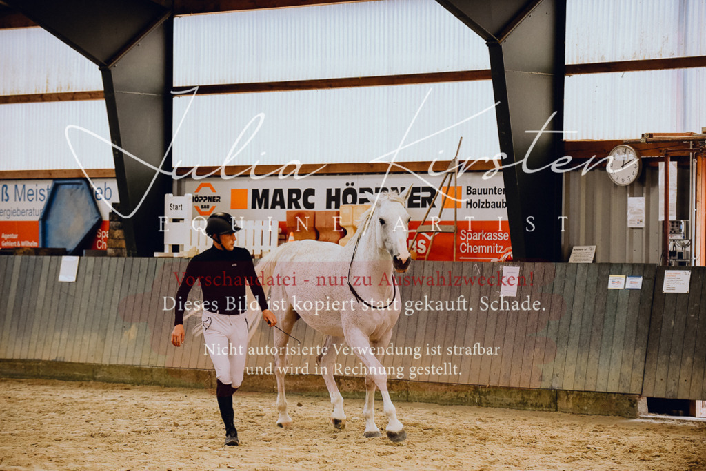 DSC_6951 | Pferde- und Turnierfotografie in Westsachsen. Pferdeportraits, Auftragszeichnungen und intuitive Kunst.