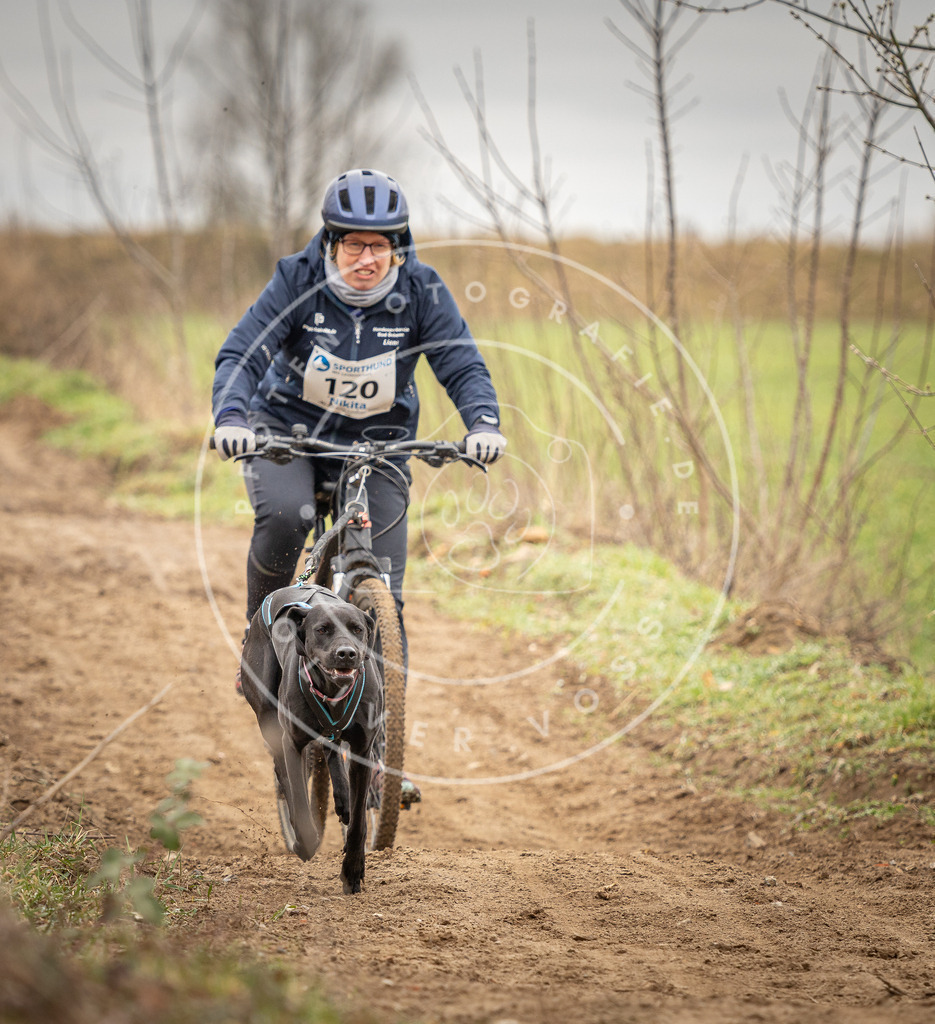 DV3A0920 | Hundefotografie, Tierfotograf, Pfotenfotografie, Fotoshooting Hund, Hunde Portrait, Hundesport, Hundeportraits, Heideshooting, Hunde, Sportfotograf, Hundefotograf, Turnierhundsport, THS,  - Realisiert mit Pictrs.com