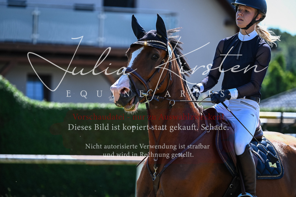 DSC_1614 | Pferde- und Turnierfotografie in Westsachsen. Pferdeportraits, Auftragszeichnungen und intuitive Kunst.