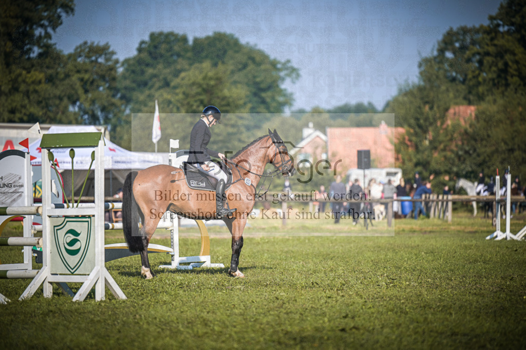 DOS_0593 | Entdecke hochwertige Reitturnierfotos von Foto Oger. Professionell, emotional und authentisch – jetzt Lieblingsmomente im Shop bestellen.Deutschlandweite Turnierfotografie. - Realisiert mit Pictrs.com
