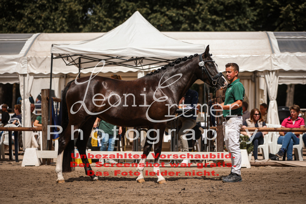 8.So00118 | Leoni Ertmer Photography - Realisiert mit Pictrs.com