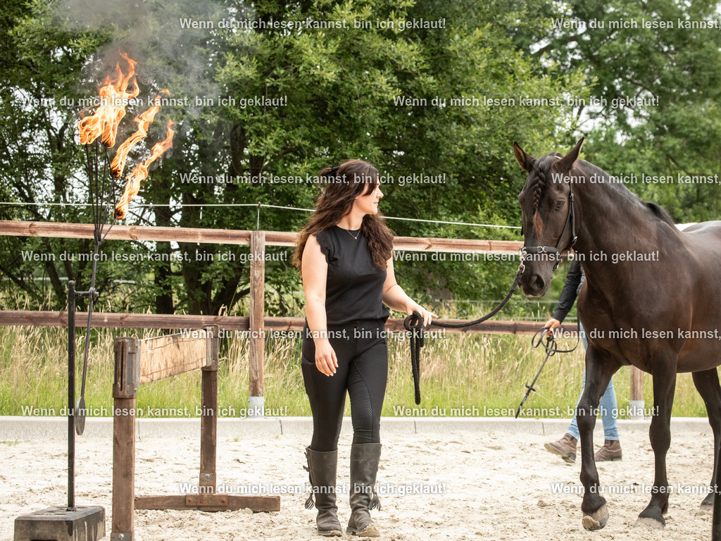 598A6802 | photographylinaismer - Realisiert mit Pictrs.com