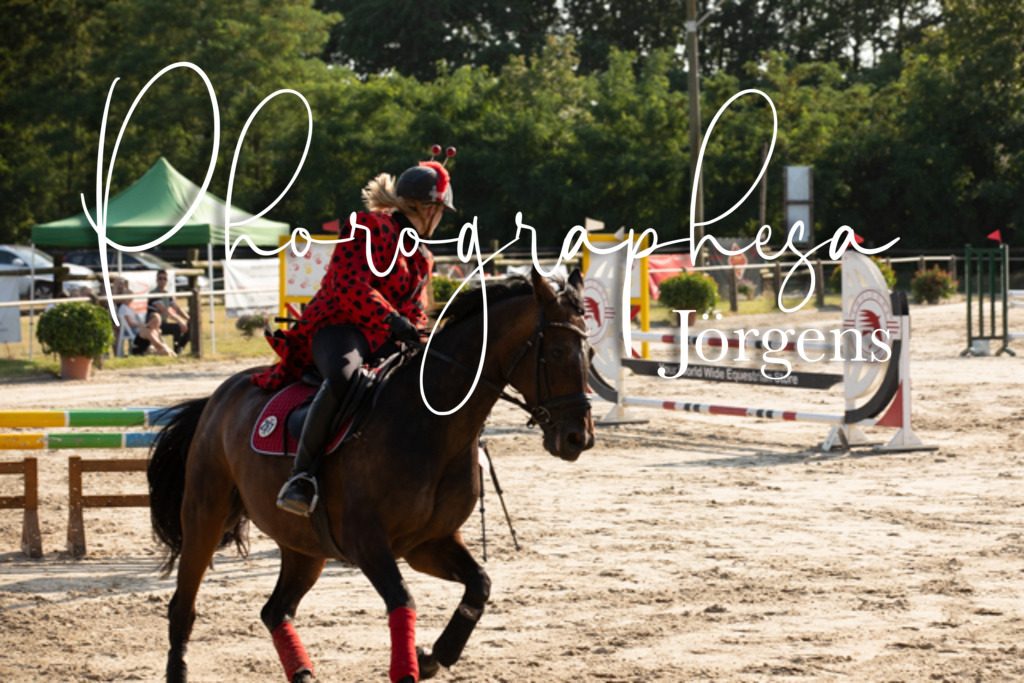 IMG_3515 | photographesa-joergens - Realisiert mit Pictrs.com