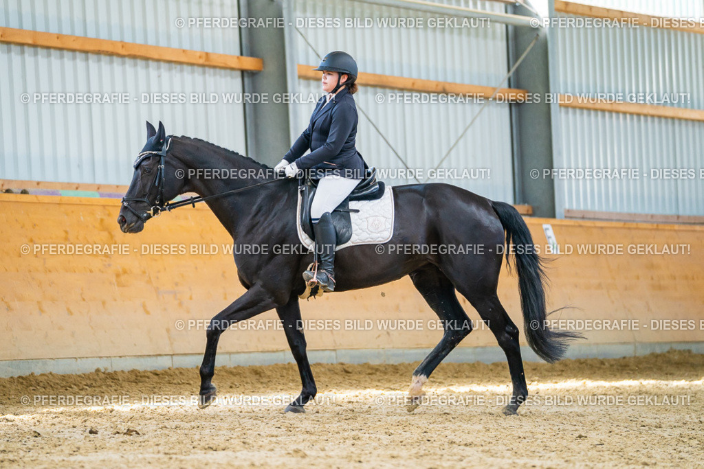 DSC08090 | Pferdegrafie