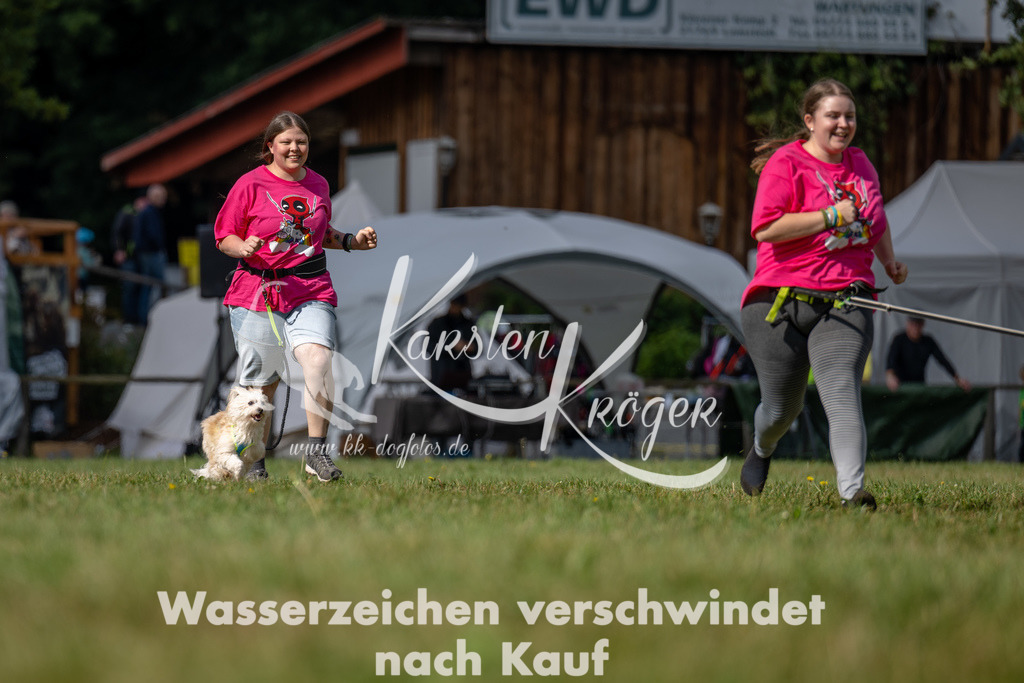 1133_ZZ90648 | kk-dogfotos