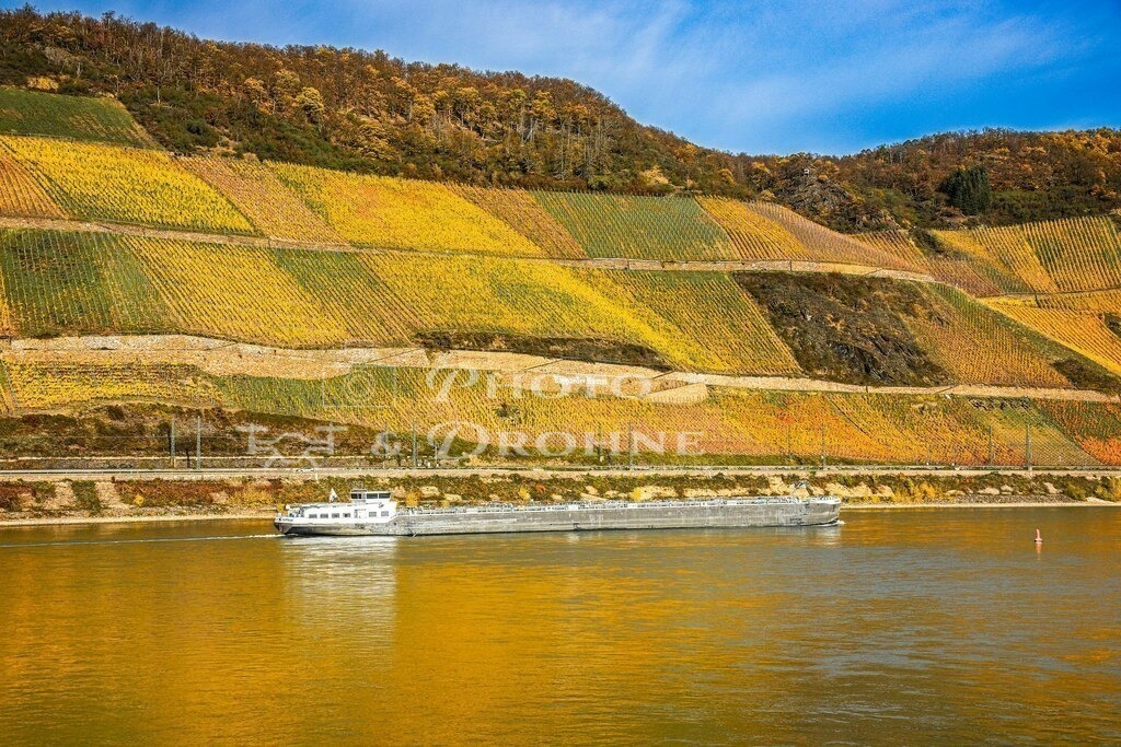 Boppard-4542 | Der Bopparder Hamm bezeichnet die größte Rheinschleife und die gleichnamige Weinlage. - Realisiert mit Pictrs.com