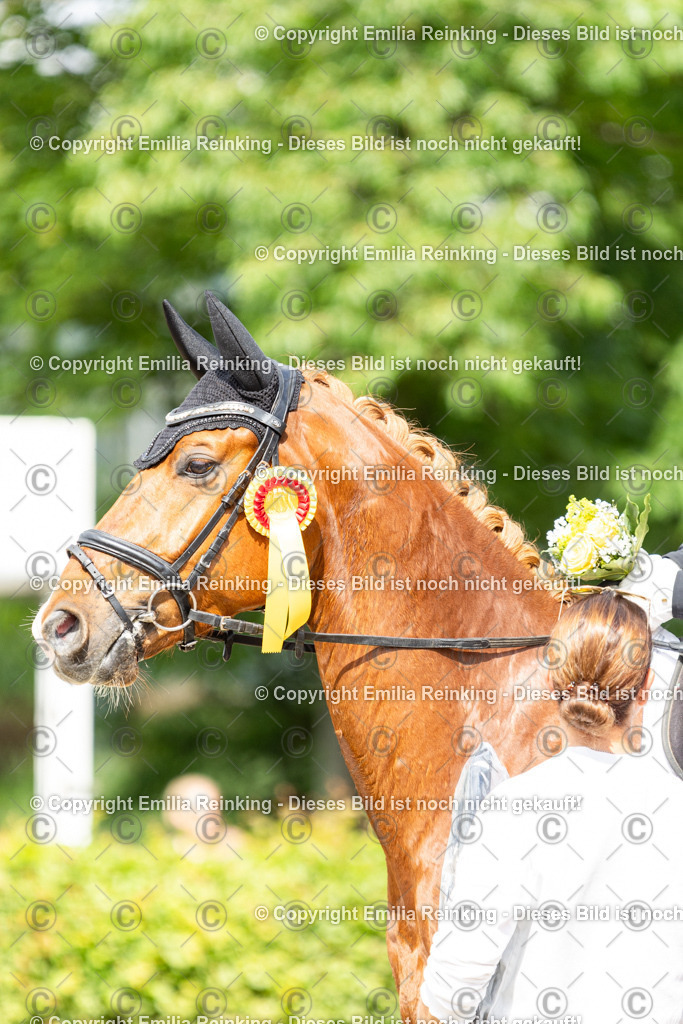 CL5A6307 | Emilia Reinking Fotografie - Realisiert mit Pictrs.com