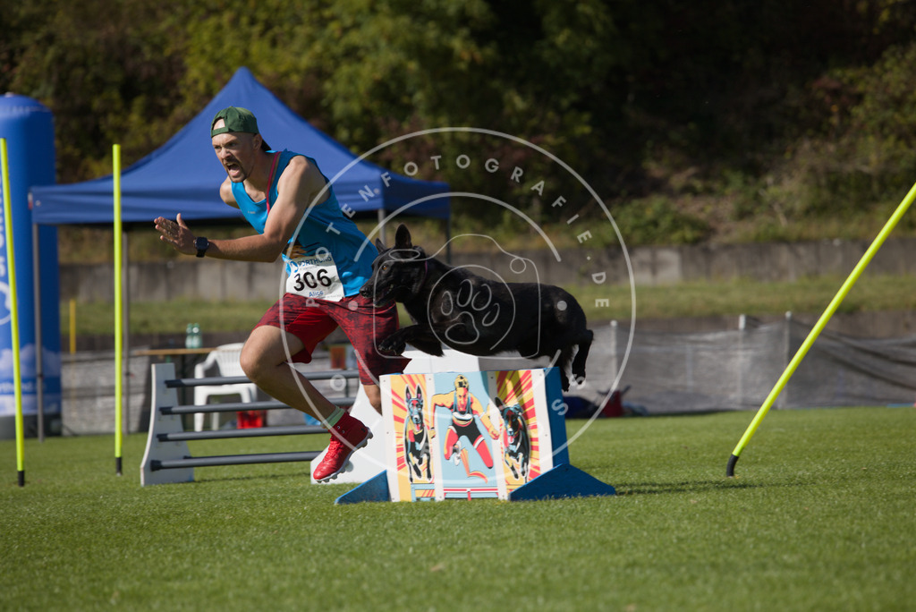 0L8A8524 | Hundefotografie, Tierfotograf, Pfotenfotografie, Fotoshooting Hund, Hunde Portrait, Hundesport, Hundeportraits, Heideshooting, Hunde, Sportfotograf, Hundefotograf, Turnierhundsport, THS,  - Realisiert mit Pictrs.com