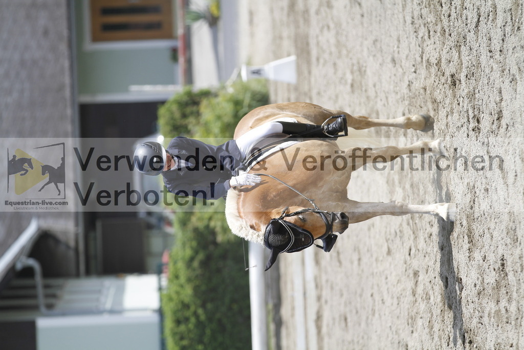 _MG_8592 | equestrian-live-com