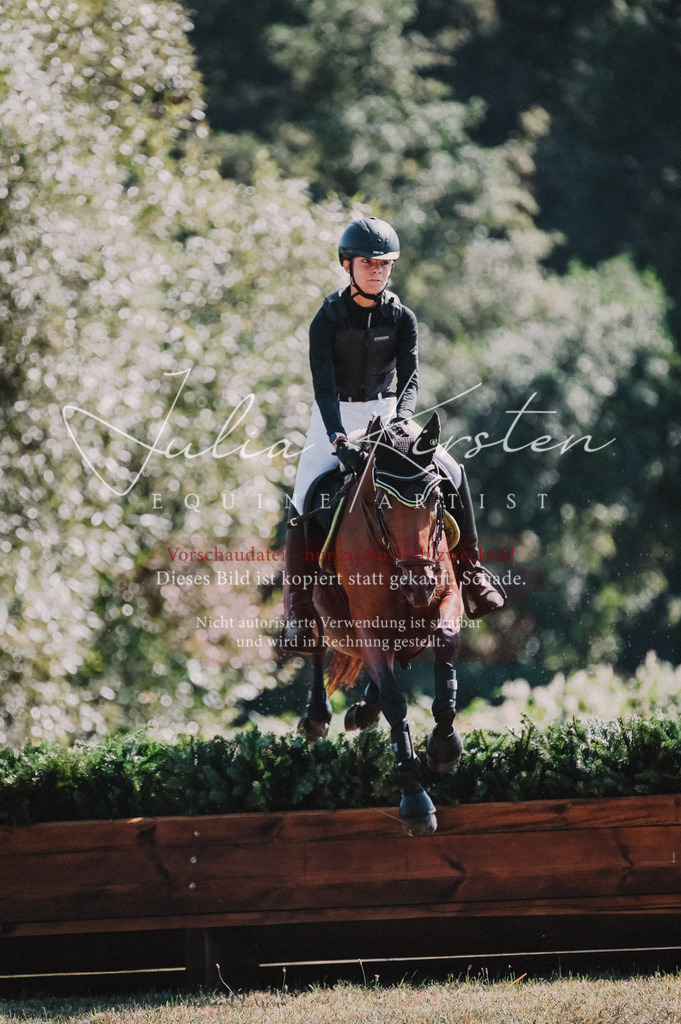 DSC_8169 | Pferde- und Turnierfotografie in Westsachsen. Pferdeportraits, Auftragszeichnungen und intuitive Kunst.