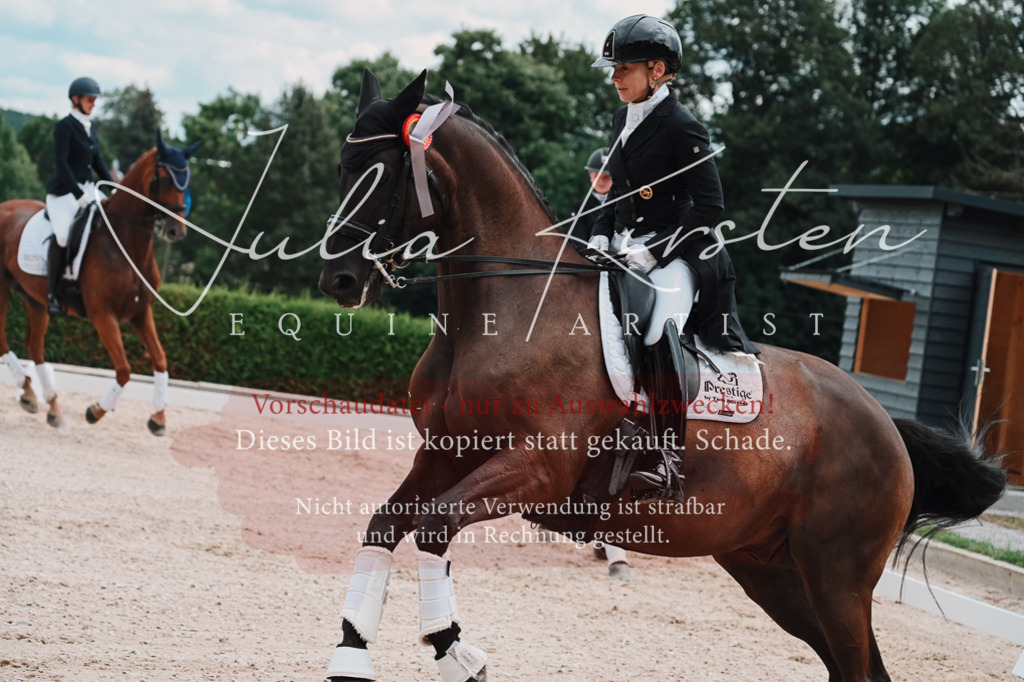 DSC_4428 | Pferde- und Turnierfotografie in Westsachsen. Pferdeportraits, Auftragszeichnungen und intuitive Kunst.