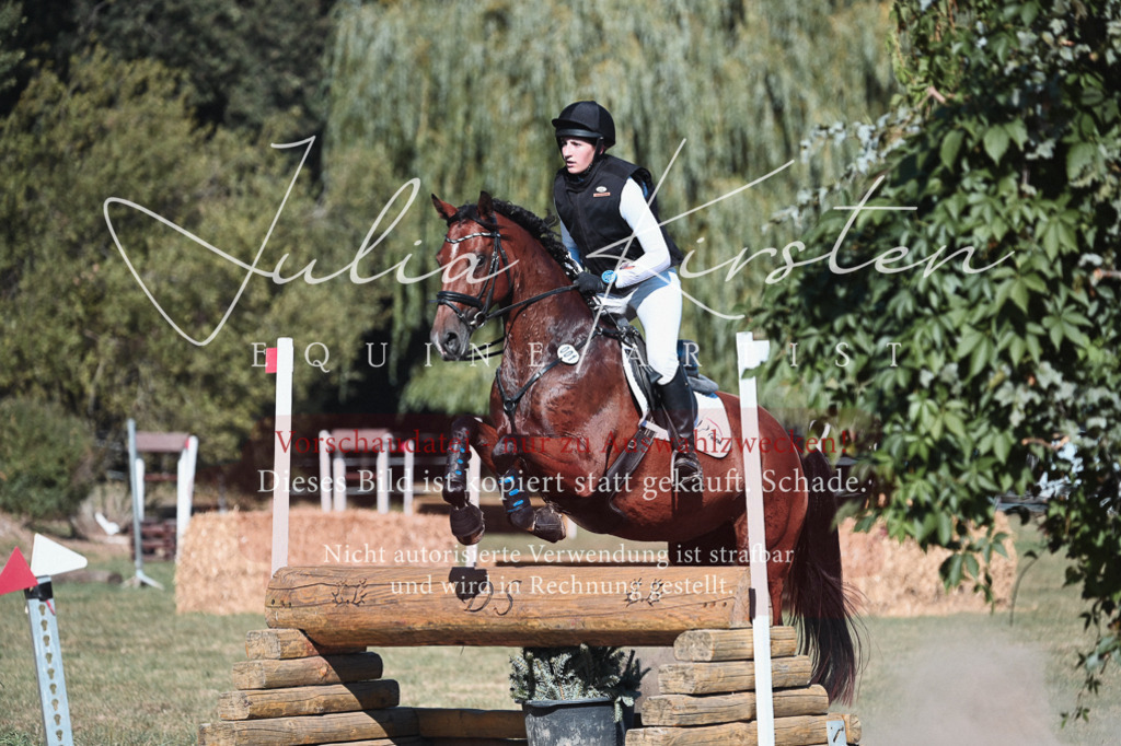 DSC_8731 | Pferde- und Turnierfotografie in Westsachsen. Pferdeportraits, Auftragszeichnungen und intuitive Kunst.