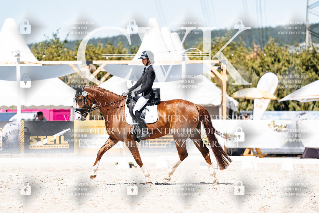 CK900499 | Turnierfotografie Pferdefotografie Trier Rheinland-Pfalz Pferdesport Reitsport Tierfotografie Sportfotografie Pferdevideo Pferdevideografie Equestrianvideography equestrianphotography  - Realisiert mit Pictrs.com