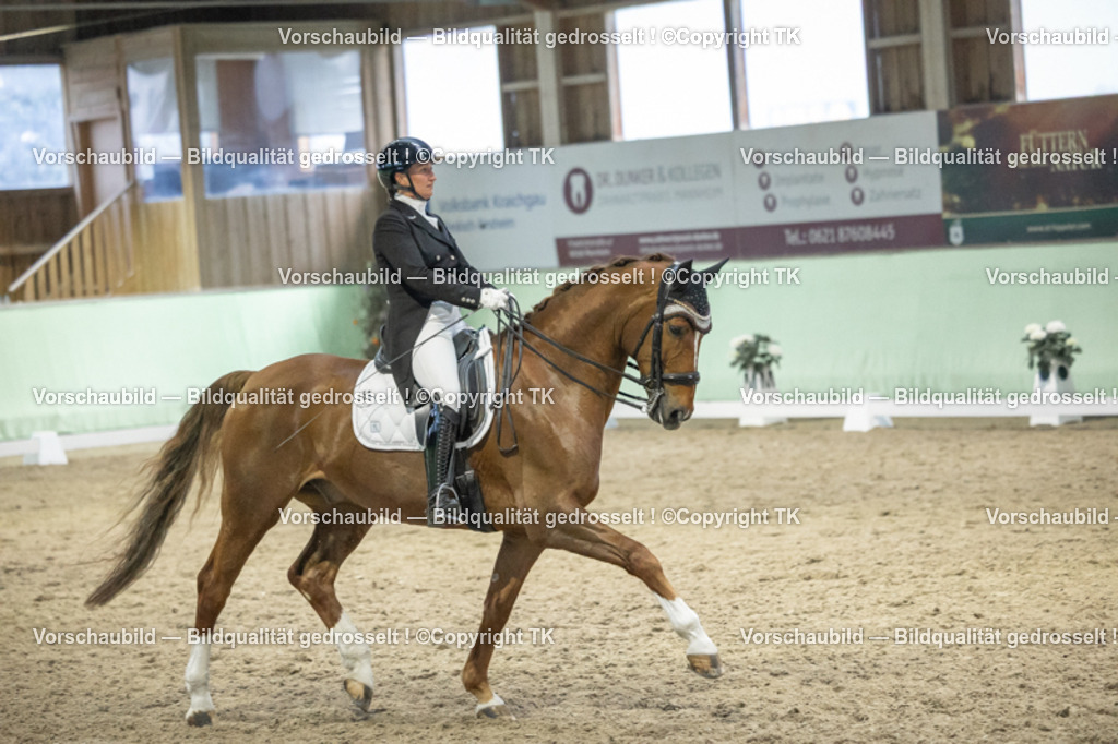 _D5A7142 | Emotionale Pferde- & People-Fotografie rund um Heidelberg, Leimen & Umgebung. Natürliche Fotos von Pferd, Mensch & Familie. Jetzt Termin sichern!