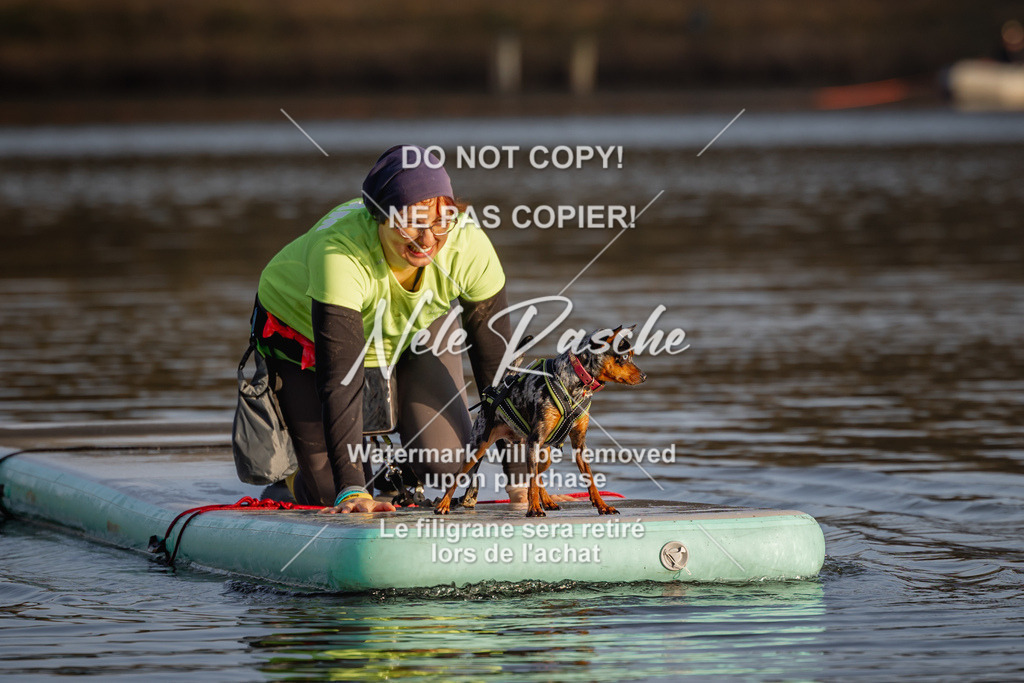 nelerasche_Hulsbeek_Sa1700-1730_228 | nelerasche