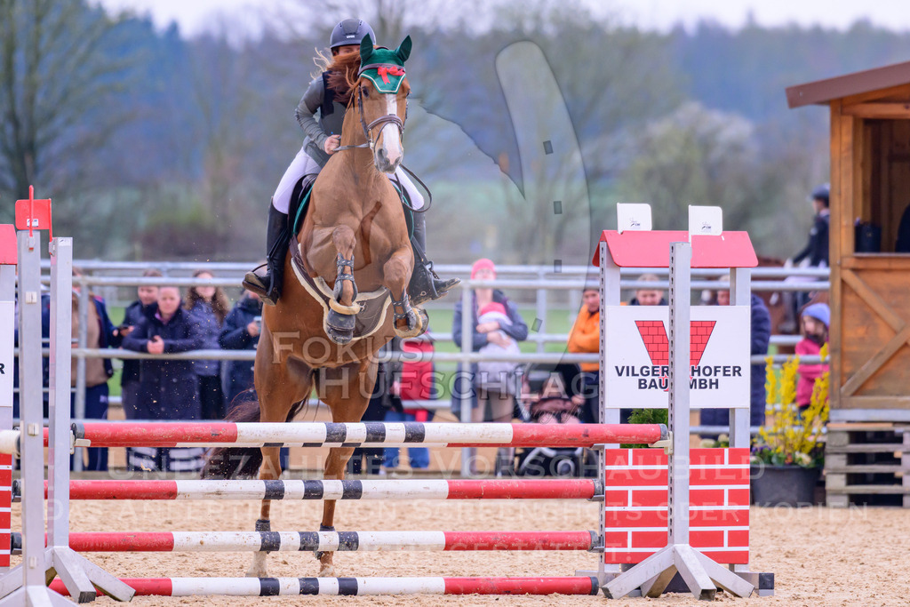 10042026-Mammendorf-Prfg16-0144 | Fokus Hufschlag Fotografie - Realisiert mit Pictrs.com