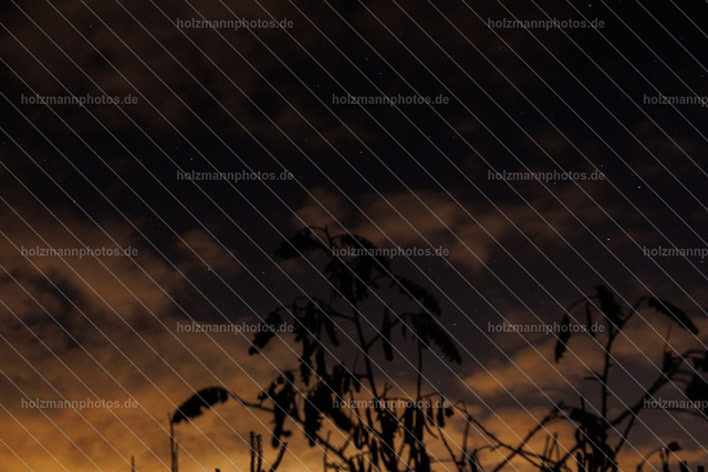 IMG_8772 | Fotograf Leipzig für Hochzeiten, Familienfeste & Porträts. Persönlich, ehrlich & echt – Emotion im Fokus. Jetzt Fotoshooting bei Holzmannphotos buchen!