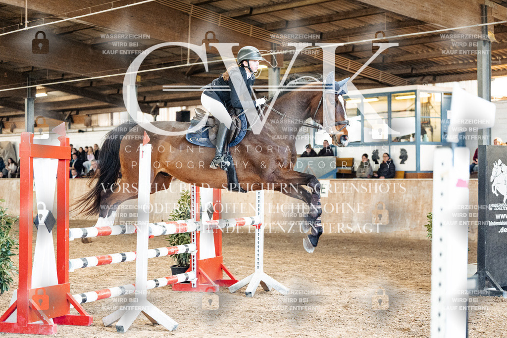 CK905211 | Turnierfotografie Pferdefotografie Trier Rheinland-Pfalz Pferdesport Reitsport Tierfotografie Sportfotografie Pferdevideo Pferdevideografie Equestrianvideography equestrianphotography  - Realized with Pictrs.com