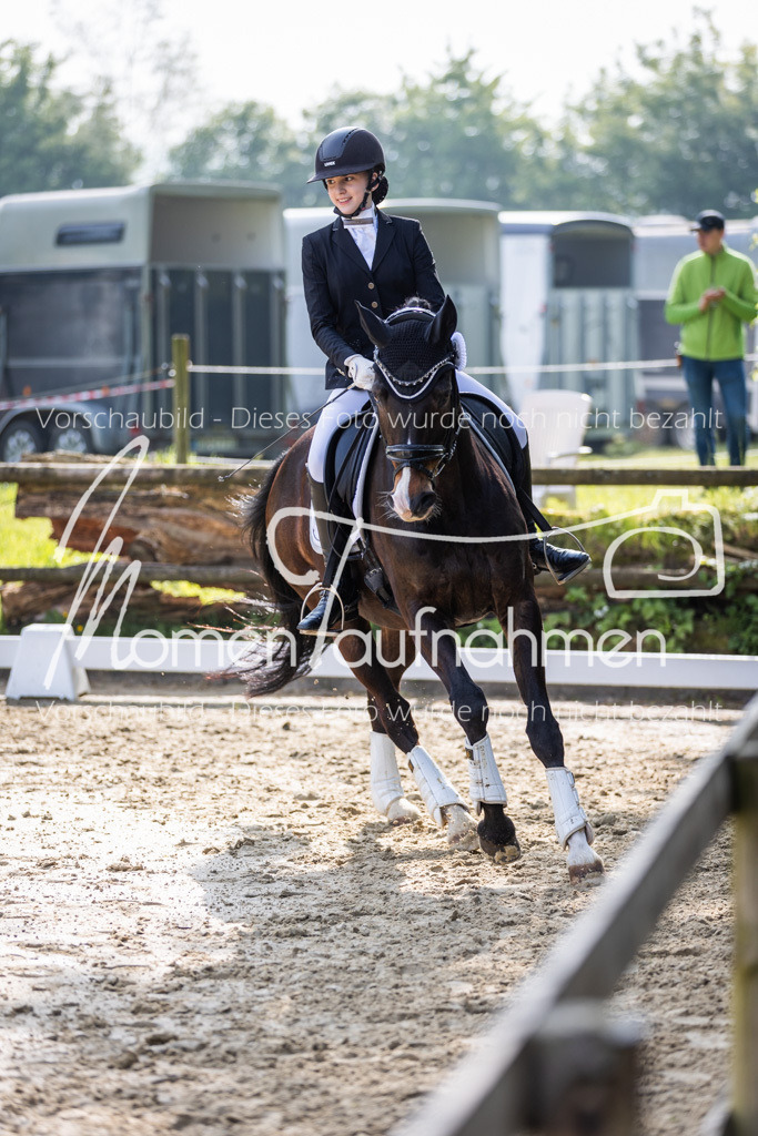 Donop24-A-Dre-168 | MomenTaufnahmen Pferdesportfotos