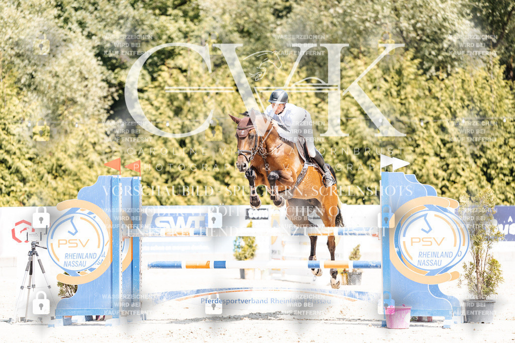 CK900964 | Turnierfotografie Pferdefotografie Trier Rheinland-Pfalz Pferdesport Reitsport Tierfotografie Sportfotografie Pferdevideo Pferdevideografie Equestrianvideography equestrianphotography  - Realisiert mit Pictrs.com