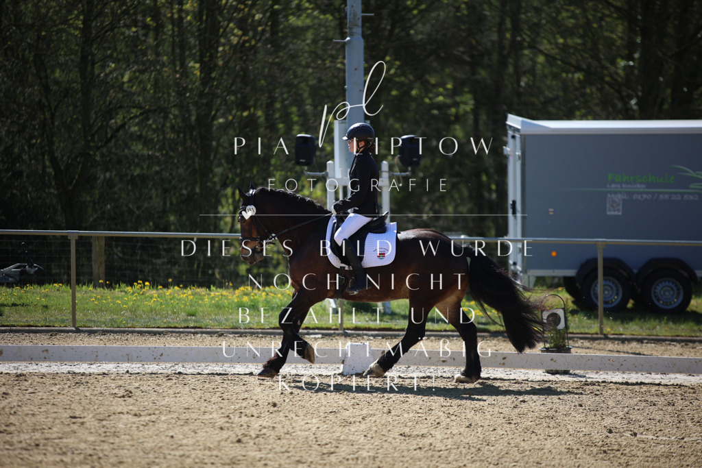 IMGT0390 | pl-fotografie